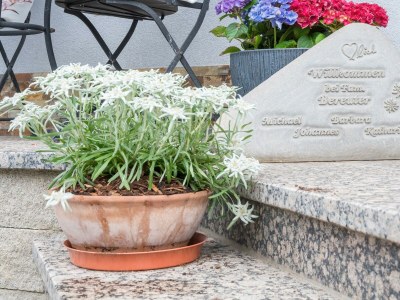 Apartment Appartement/Fewo, Dusche oder Bad, 1 Schlafraum - Outdoor photo 11