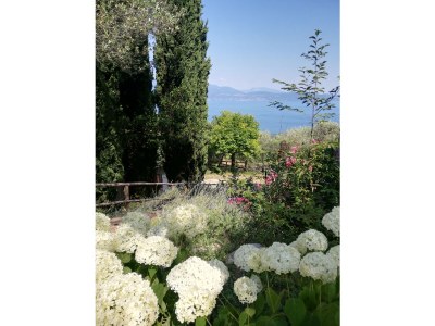 Holiday house Holiday Apartment Stella - Outdoor photo 7