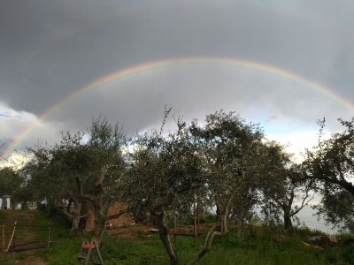 Holiday house Holiday Apartment Stella - Environment photo 33