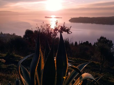 Holiday house Holiday Apartment Stella - Environment photo 35