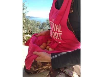 Holiday house Holiday Apartment Stella - Environment photo 38