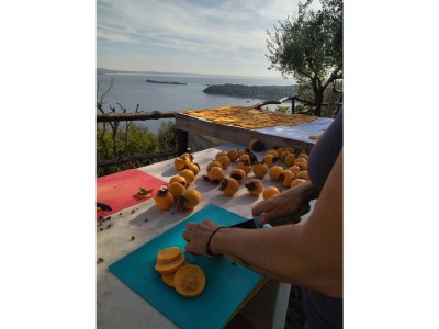 Holiday house Holiday Apartment Stella - Environment photo 39