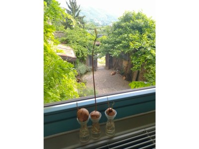 Holiday house Holiday Apartment Terra - Outdoor photo 7