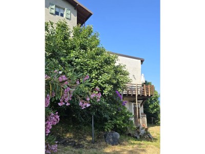 Holiday house Holiday Apartment Terra - Outdoor photo 8