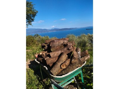 Holiday house Holiday Apartment Terra - Environment photo 18