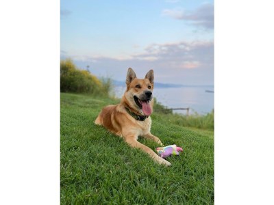 Holiday house Holiday Apartment Terra - Environment photo 19