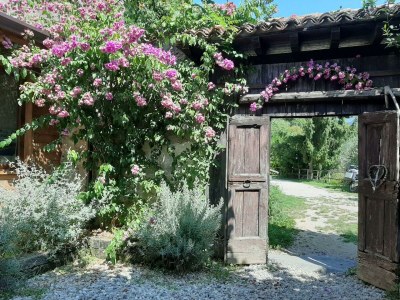 Holiday house Holiday Apartment Terra - Environment photo 24