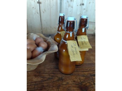 Holiday house Holiday Apartment Terra - Environment photo 32