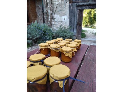 Holiday house Holiday Apartment Terra - Environment photo 35