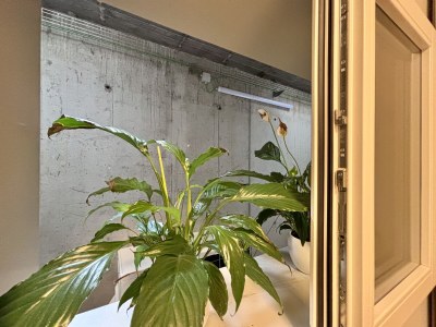 Holiday apartment No title - Features photo 20