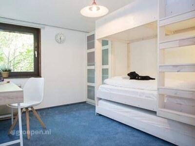 Villa Holiday Home in Niedersfeld near Hillebachsee - Outdoor photo 11