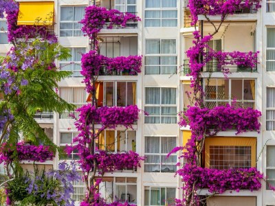 Apartment Apartment with Terrace near the Sea - Outdoor photo 2