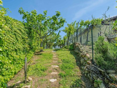 Villa Liberty Style Villa in Marche with private pool - Environment photo 36