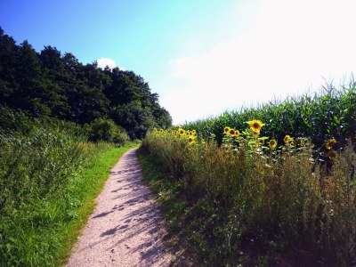 Holiday house No title - Environment photo 33