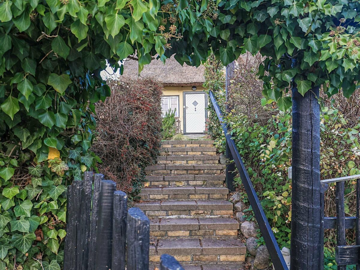 Holiday house 4 Sterne Ferienhaus in Humlebæk - Outdoor photo 4