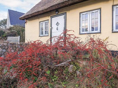 Holiday house 4 Sterne Ferienhaus in Humlebæk - Outdoor photo 3