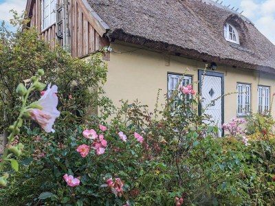 Holiday house 4 Sterne Ferienhaus in Humlebæk - Outdoor photo 10