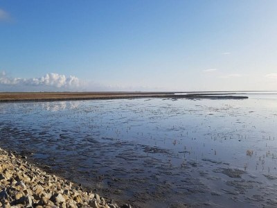 Holiday house Luxuriös ausgestattetes Ferienhaus über zwei Etagen - Environment photo 23