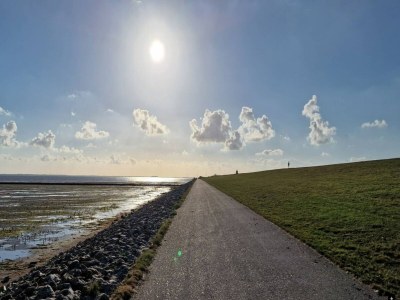 Holiday house Luxuriös ausgestattetes Ferienhaus über zwei Etagen - Environment photo 35