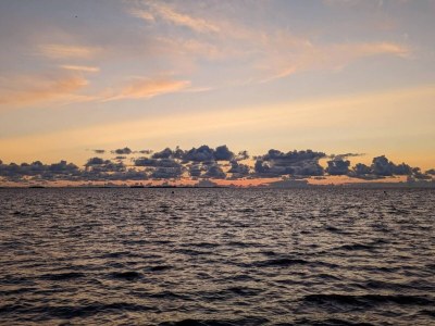 Holiday house Ferienhaus in Dagebüll mit Terrasse - Environment photo 22