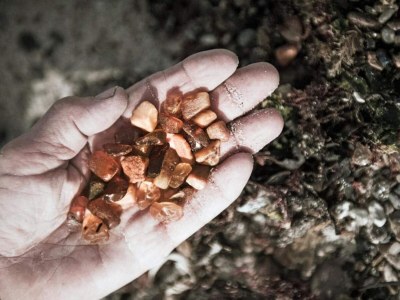 Holiday house 4 Sterne Ferienhaus in Thyborøn - Outdoor photo 39