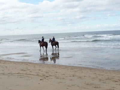 Holiday house Villa Muschelsucher - Environment photo 22