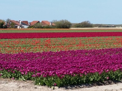 Holiday house Villa Muschelsucher - Environment photo 24