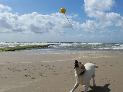 Holiday house Villa Muschelsucher - Environment photo 27