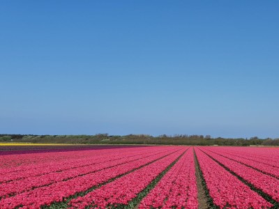 Holiday house Villa Muschelsucher - Environment photo 28