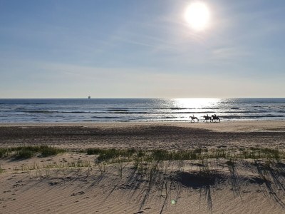 Holiday house Villa Muschelsucher - Environment photo 33