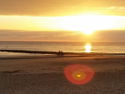 Holiday house Villa Muschelsucher - Environment photo 35