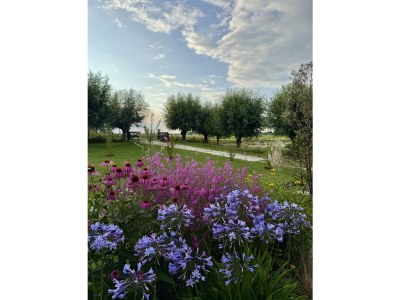 Holiday house Au Barrage - Outdoor photo 6