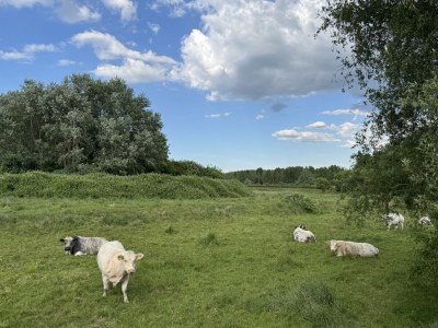 Holiday house Au Barrage - Outdoor photo 8