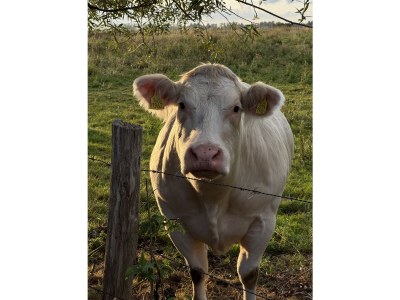 Holiday house Au Barrage - Outdoor photo 15