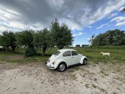 Holiday house Au Barrage - Outdoor photo 16