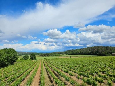 Apartment Apartment with swimming pool, wifi - Environment photo 25