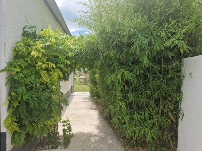 Apartment Apartment with swimming pool, wifi - Outdoor photo 27