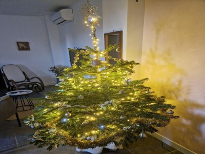 Apartment Apartment with swimming pool, wifi - Outdoor photo 30