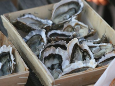 Holiday house Cozy Garden Villa in Bonnemain - Outdoor photo 37