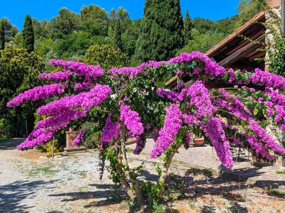Villa Villa Poggio al Coniglio a Suvereto con piscina - Outdoor photo 10
