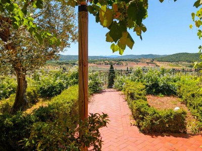 Villa Villa Poggio al Coniglio a Suvereto con piscina - Environment photo 35