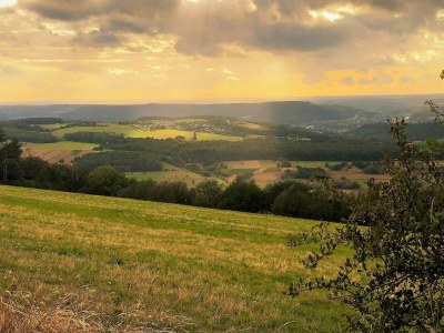 Apartment Apartment in Pellingen near Moselle Valley - Environment photo 23