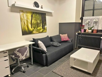 Apartment Apartment in Pellingen near Trier Sites - Features photo 2
