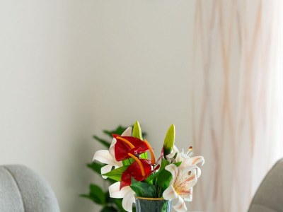 Villa Villa SENKA - Four Bedroom Villa - Features photo 42