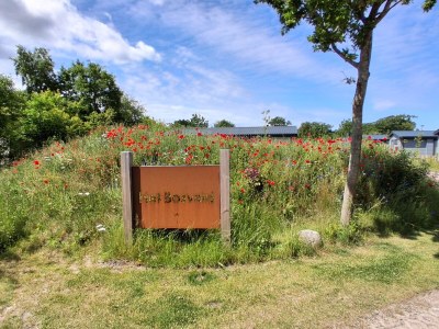 Chalet Bregkoog 52 - Environment photo 19