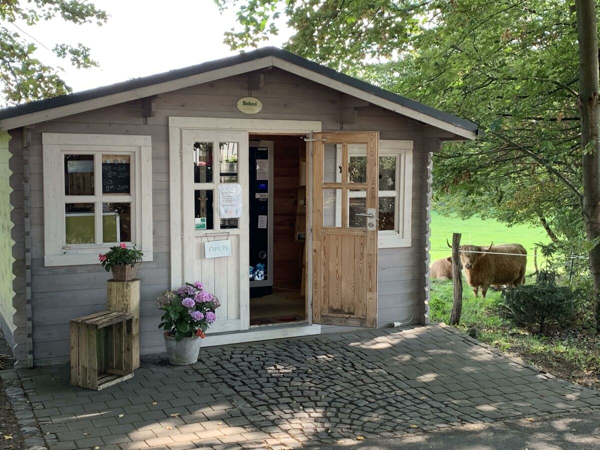 Apartment Tinyhouse - Outdoor photo 2
