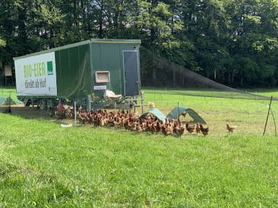 Apartment Tinyhouse - Outdoor photo 8