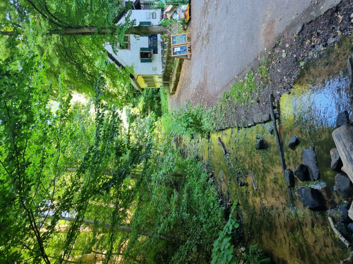 Apartment Charlottes Waldresidenz