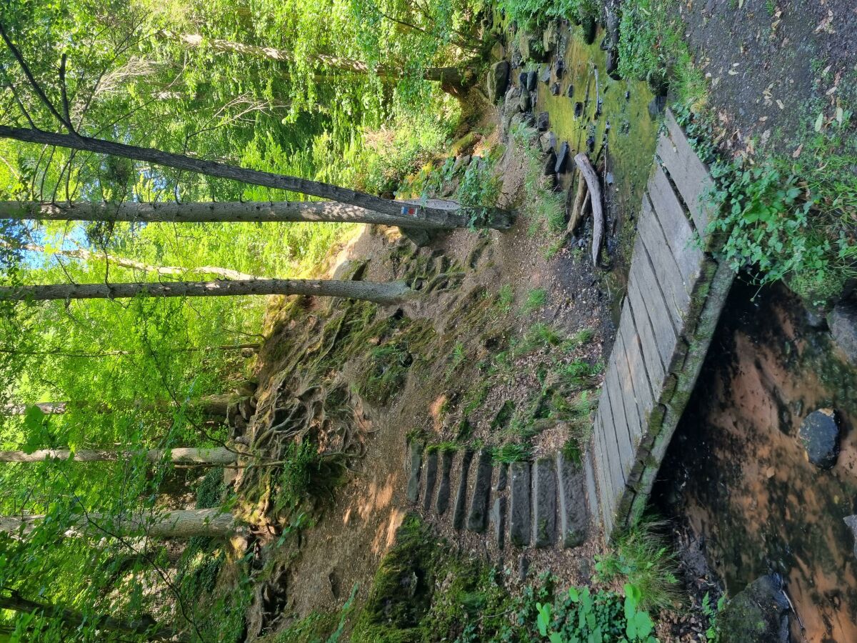Apartment Charlottes Waldresidenz - Outdoor photo 2