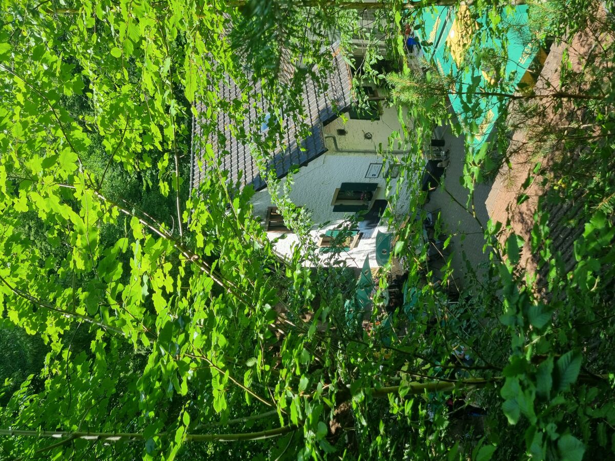 Apartment Charlottes Waldresidenz - Outdoor photo 3